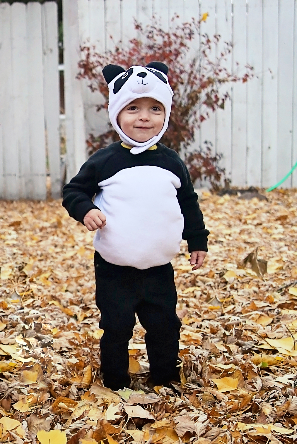 DIY Panda Costume PeekaBoo Pages