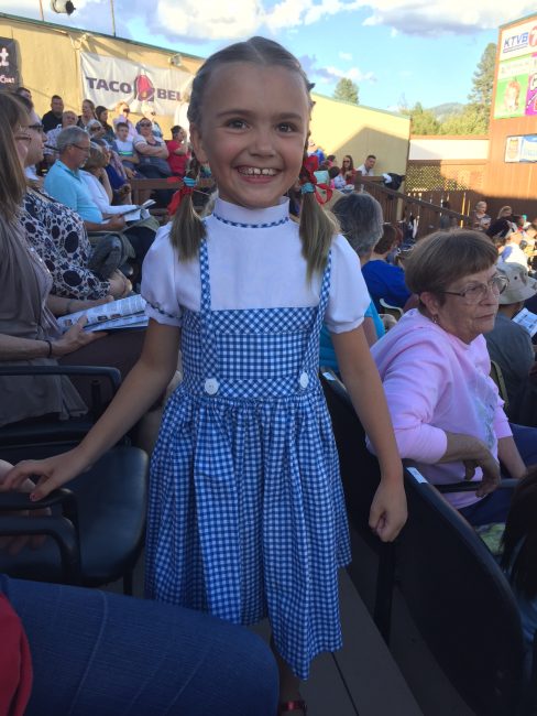 DIY Dorothy Costume  Fun and Easy Costume