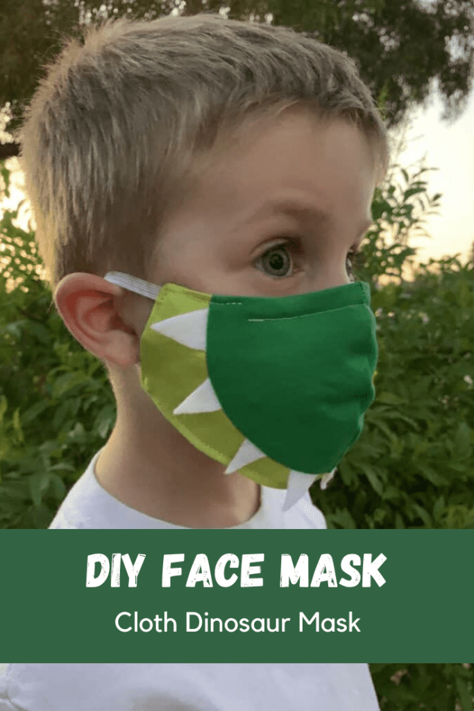 DIY Face Mask