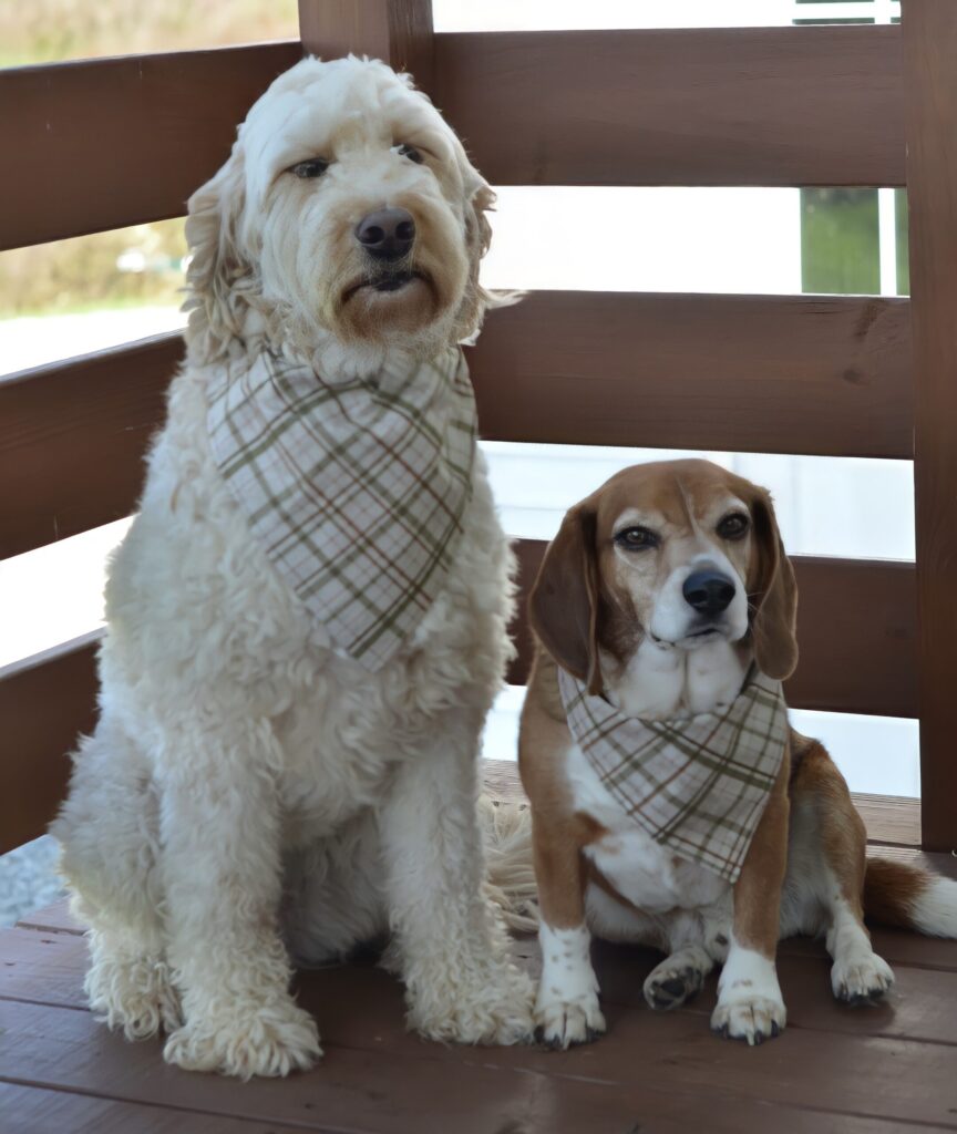 How to Make a Dog Bandana 2 Ways | Easy DIY Dog Bandanas