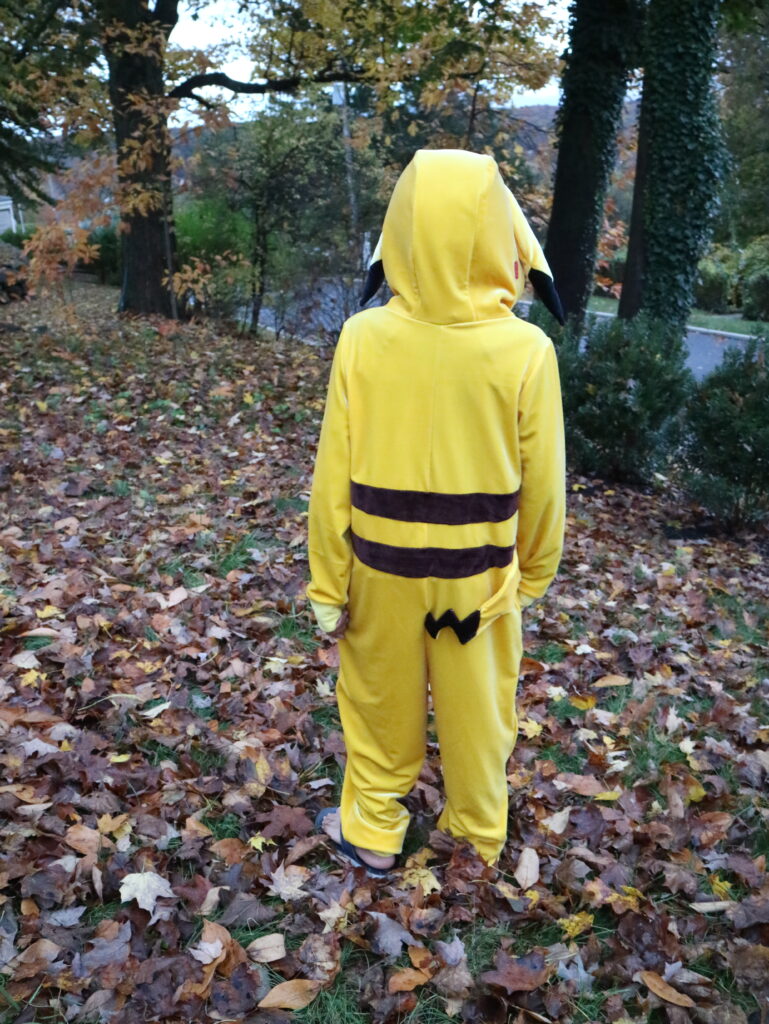 DIY Pokemon Costume